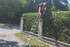 Dobrovoľnícke aktivity u nás - teambuilding menežmentu Tesca